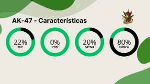 AK-47 caracteristicas gerais