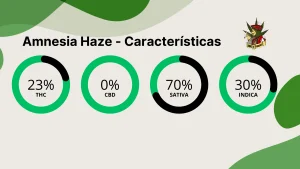 Amnesia Haze caracteristicas gerais