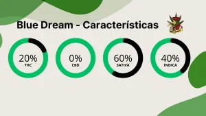 Blue dream Caracteristicas gerais