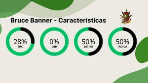 Bruce Banner caracteristicas gerais