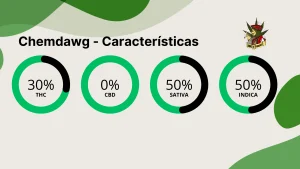 Chemdawg caracteristicas gerais