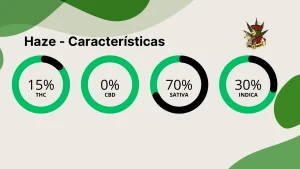 Haze caracteristicas gerais
