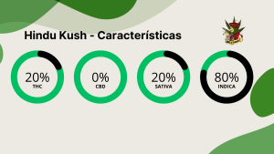 Hindu Kush caracteristicas