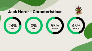 Jack Herer caracteristicas