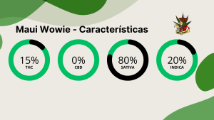 Maui Wowie caracteristicas