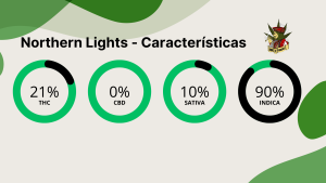 Northern Lights caracteristicas