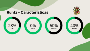 Runtz caracteristicas
