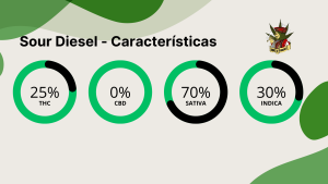 Sour Diesel caracteristicas