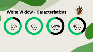 White Widow caracteristicas