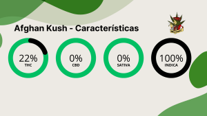 Afghan Kush - Características