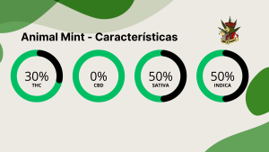 Animal Mint