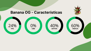 Banana OG - Características