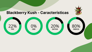 Blackberry Kush - Caracteristicas