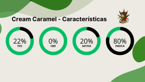 Cream Caramel - Características