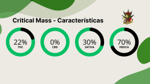 Critical Mass - Características