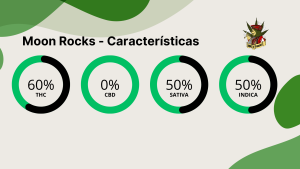 Moon Rocks - Características