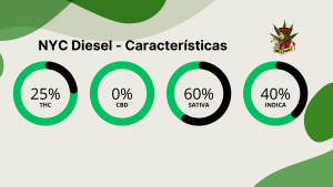 NYC Diesel - Características