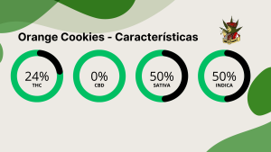 Orange Cookies - Características