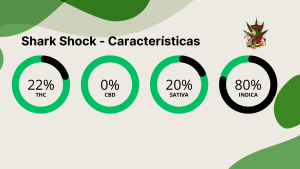 Shark Shock - Características