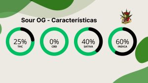 Sour OG - Características