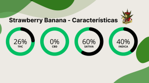 Strawberry Banana - Caracteristicas