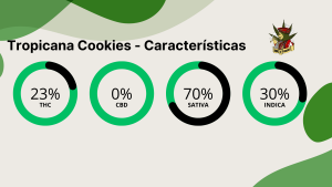 Tropicana Cookies - Características