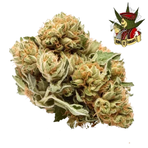 Bruce Banner - Híbrida Potente e Energética