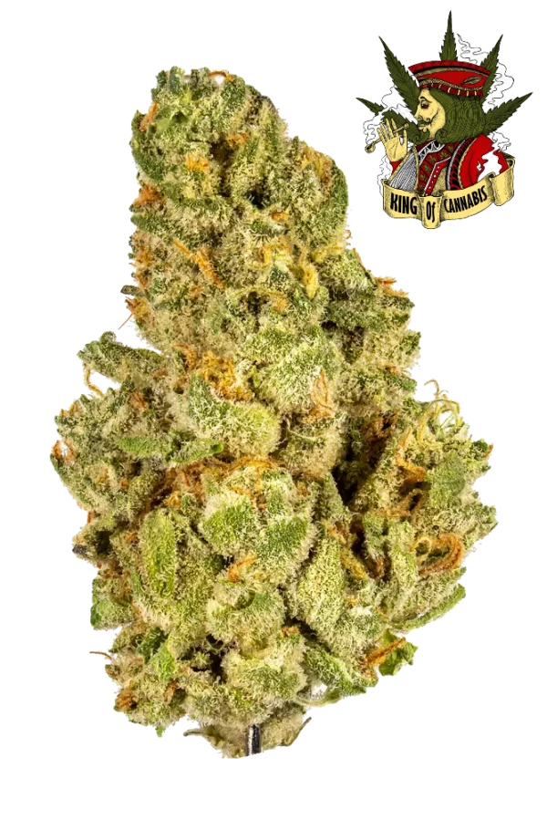 Kush Mints