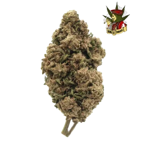 Lemon Haze - Sativa Refrescante
