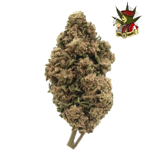 Lemon Haze - Sativa Refrescante
