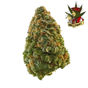 Green Crack - A Sativa que Desperta e Energiza
