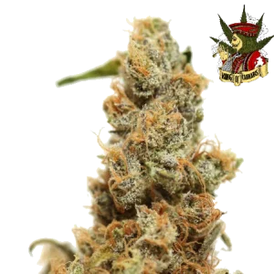 haze