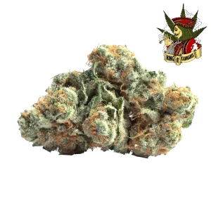 Gelato