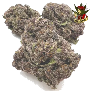 Gorilla Glue