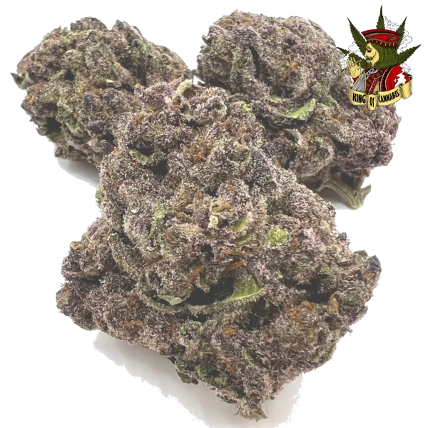 Gorilla Glue