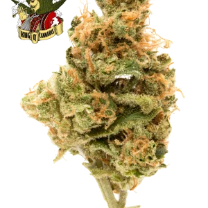 Hindu Kush