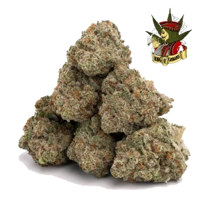 Jack Herer