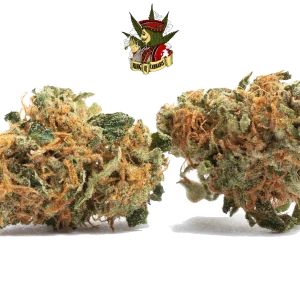 Maui Wowie