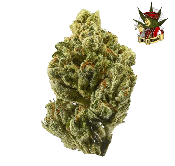 OG Kush - Potência Relaxante com Efeito Tranquilizante
