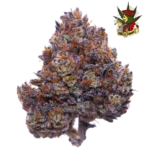 Purple Haze - Euforia Criativa e Energizante com Toque Fruitado