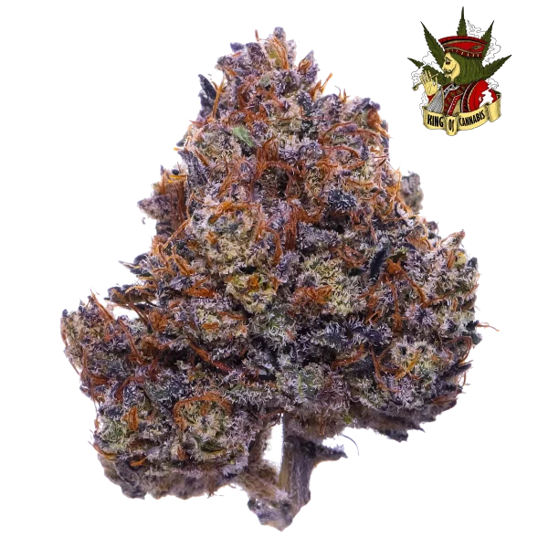 Purple Haze - Euforia Criativa e Energizante com Toque Fruitado