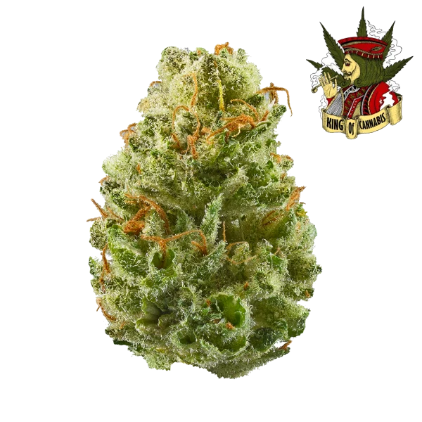 Strawberry Cough - Energizante e Refrescante com Toque Doce