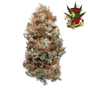 Super Lemon Haze - Energizante e Refrescante com Toque Cítrico