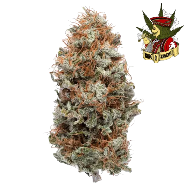 Super Lemon Haze - Energizante e Refrescante com Toque Cítrico