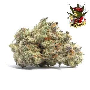 Tangie - Refrescante, Energizante e Fruity