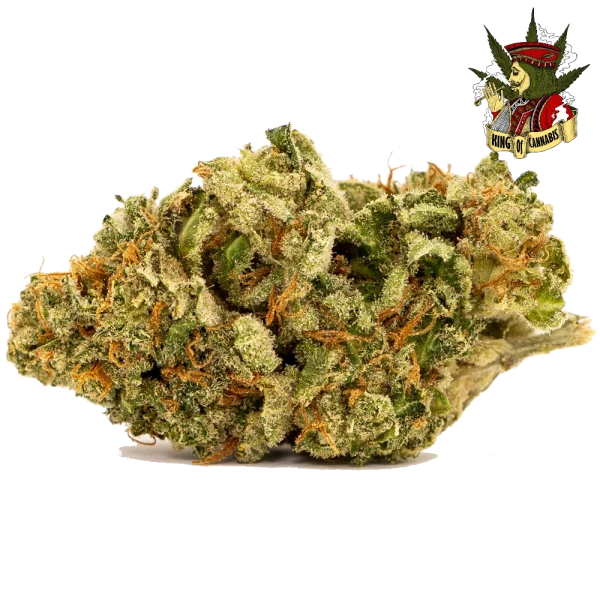 White Widow