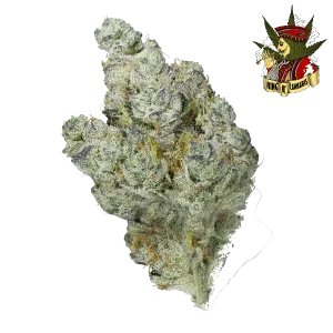 Zkittlez - Sabor Doce e Relaxamento Profundo